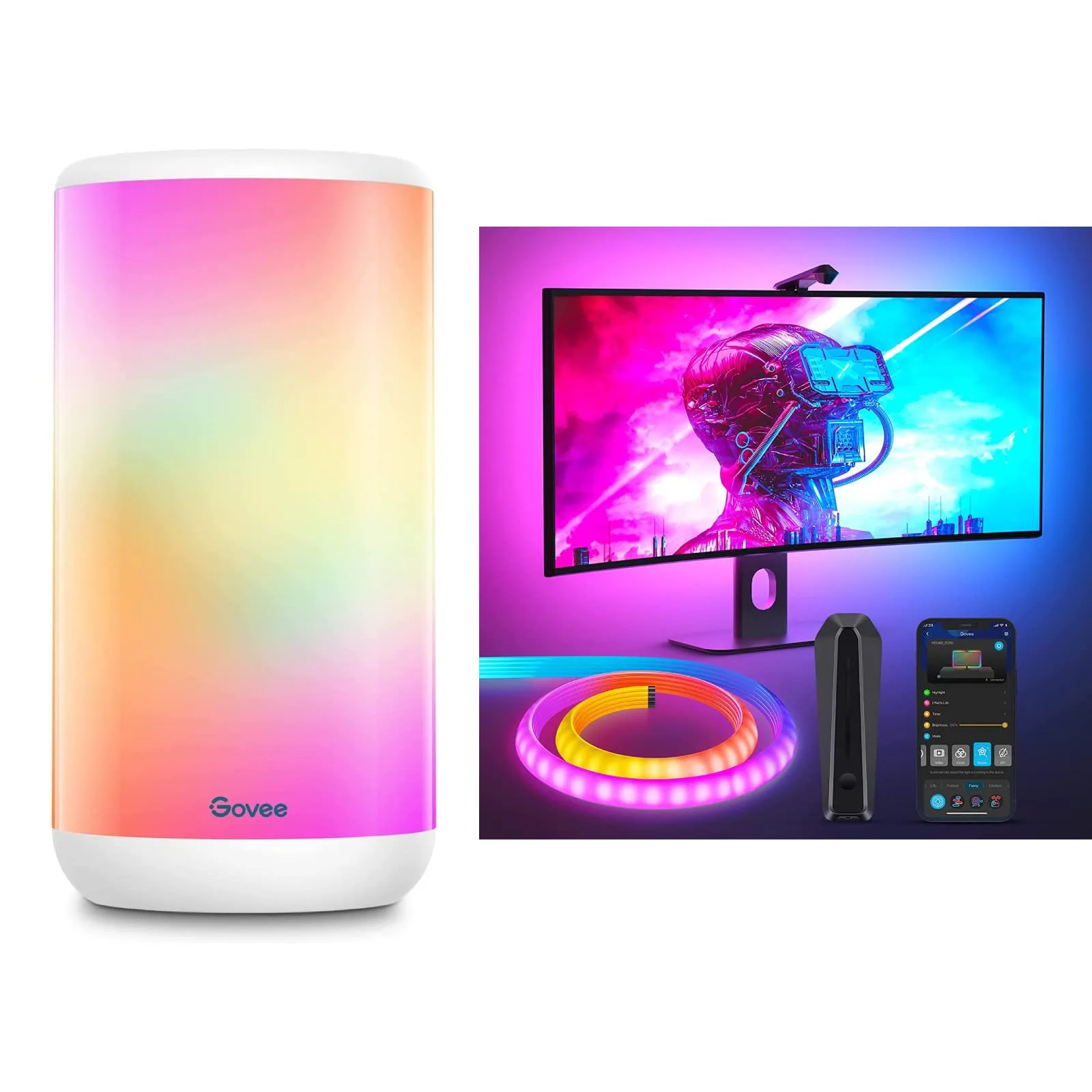 Govee RGBIC neon table lamp